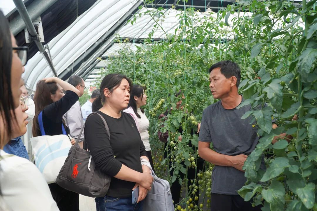 DSC00304.jpg DSC00304.jpg