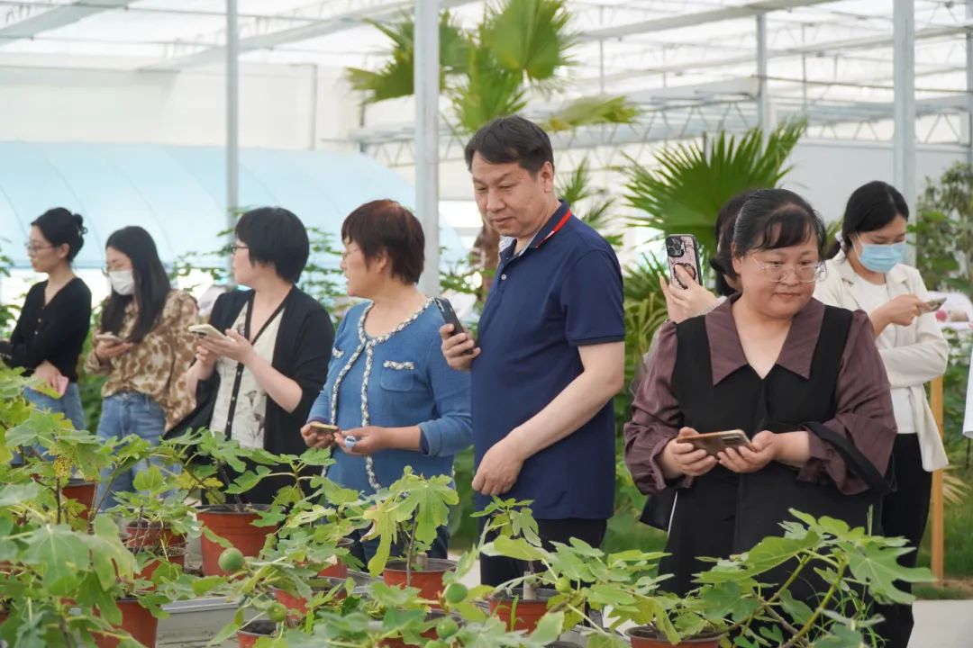 DSC00428.jpg DSC00428.jpg